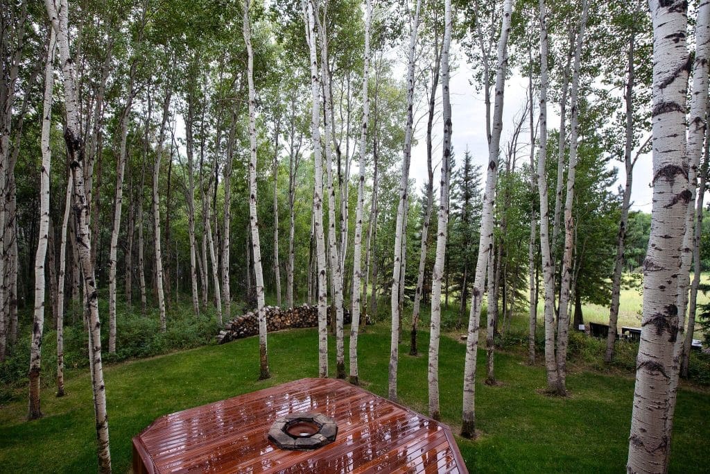 Calgary Outdoor Living Space Renovation