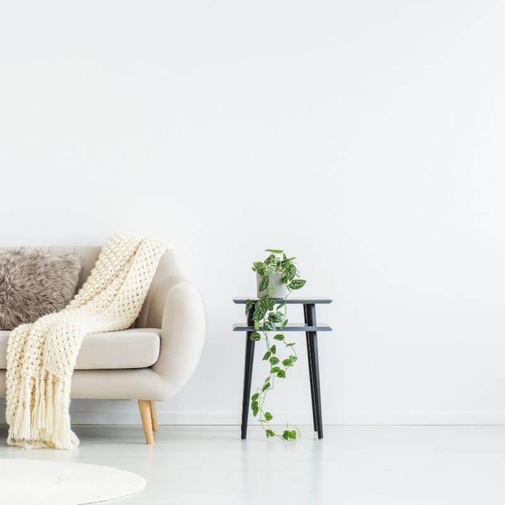 renovation showhome coming soon edmonton